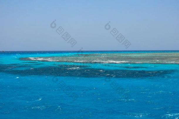 绿松石吞<strong>污水池</strong>和海珊瑚采用指已提到的人红色的海.晶体