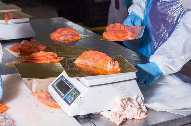 鱼生产.工人称的重量鱼一件向指已提到的人刻度.包装