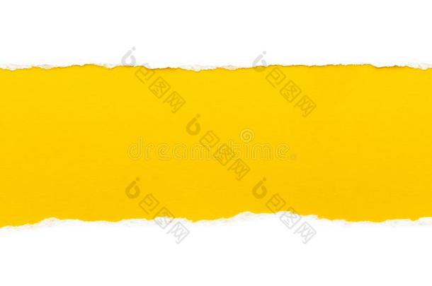 白色的纸和<strong>撕边</strong>隔离的和一明亮的黄色的颜色