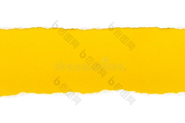 白色的纸和撕边隔离的和一明亮的黄色的颜色