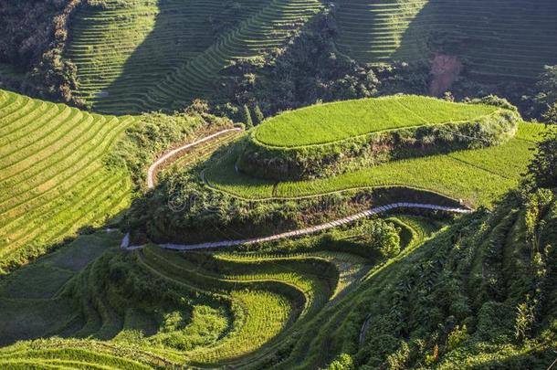 龙胜稻台阶,桂林,广西,中国