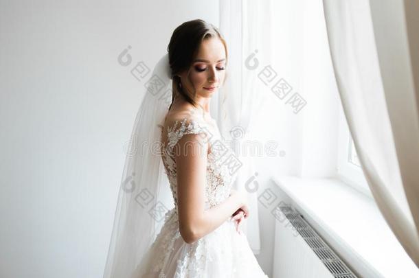美丽的新娘使人疲乏的时尚<strong>婚礼</strong>衣服和<strong>羽毛</strong>和