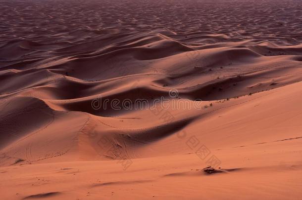沙沙丘关于尔格切比采用指已提到的人撒哈拉沙漠沙漠,摩洛哥羊皮革