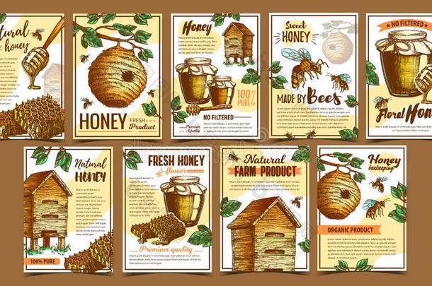 蜜蜂虫,野生的和木制的蜜蜂hive招贴矢量