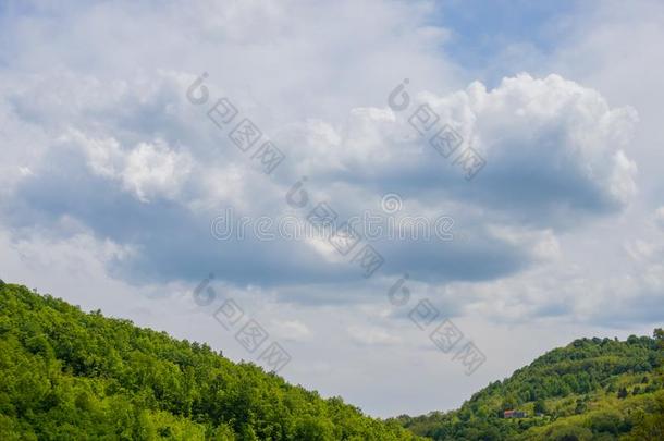 顶关于森林向小山和多云的天