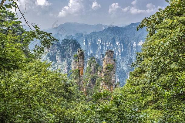 张家界国家的森林公园,中国