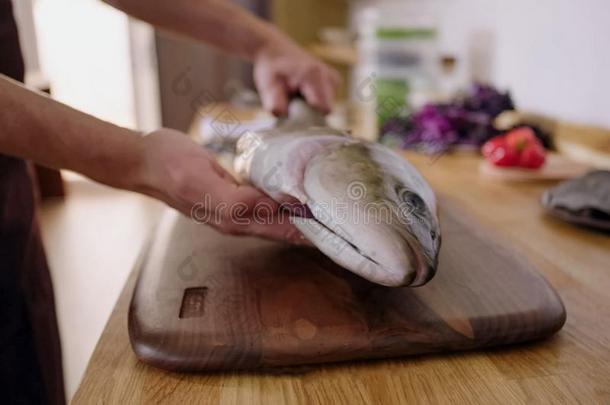 <strong>刀锋利</strong>的鲑鱼,去内脏鱼采用厨房