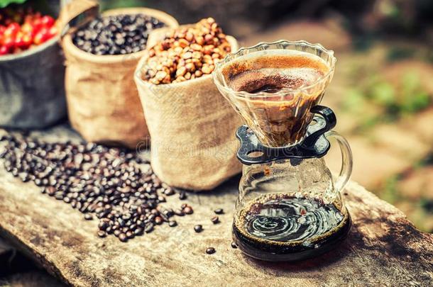 粗壮咖啡豆,阿拉伯咖啡,咖啡豆浆果,咖啡豆豆Â 
