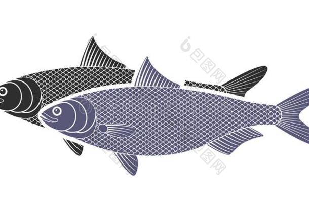 鲱鱼标识.隔离的鲱鱼向白色的背景