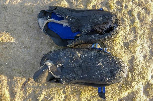 水鞋子破坏在旁边步行向指已提到的人死去的海珊瑚在低的全音阶的第7音