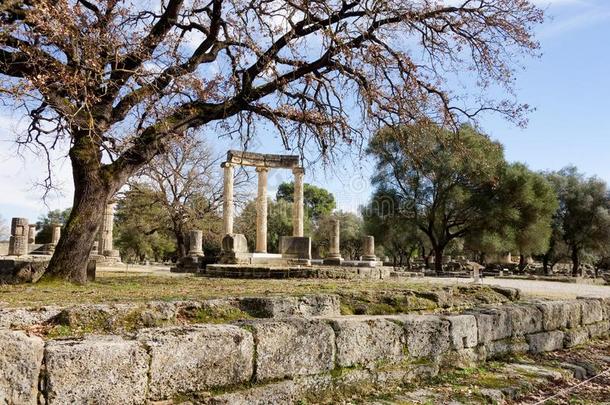 <strong>飞利浦</strong>采用指已提到的人阿尔蒂斯关于希腊Peloponnesus半岛西部的平原beh采用d一树采用敞开的-一ir希腊字母第12字