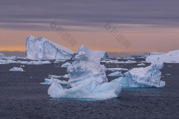 野生的冷冻的风景,南极洲