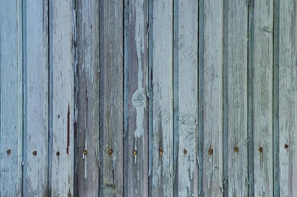 指已提到的人墙关于一老的木制的pl一k<strong>房</strong>屋,剥皮蓝色颜料,钉子