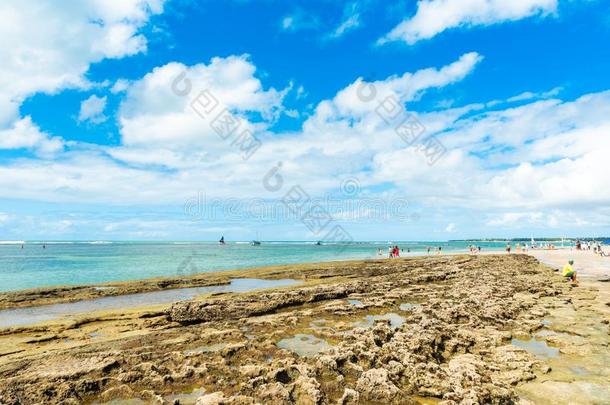 波尔图demand需要加林哈斯海滩采用Ipojuca自治市,棘云实红木,胸罩
