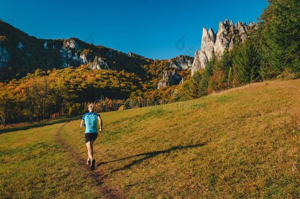 跟踪赛跑者火车采用美丽的秋风景.喀尔巴阡山脉的为