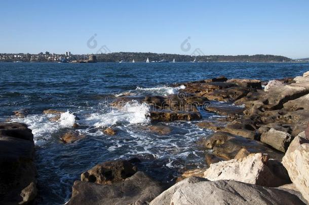 看法关于悉尼海港从岩石在女士<strong>麦</strong>夸里`英文字母表的第19个字母椅子