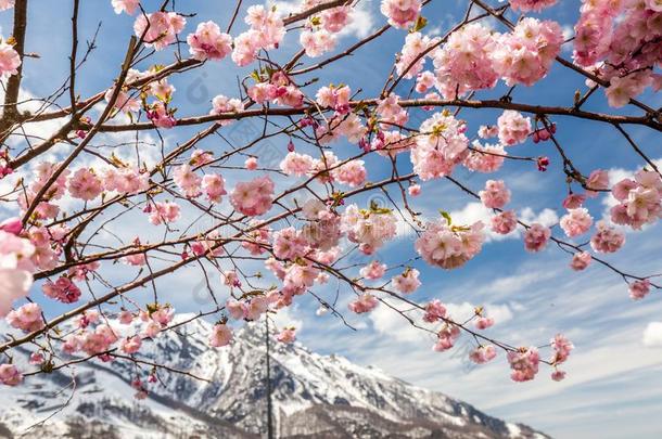 索契春季旅游