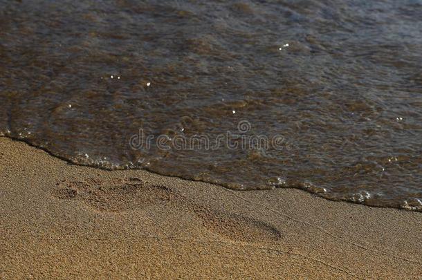 海滩,沙,赤脚的脚印,水洗离开跟踪