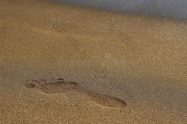 海滩,沙,赤脚的脚印,水洗离开跟踪