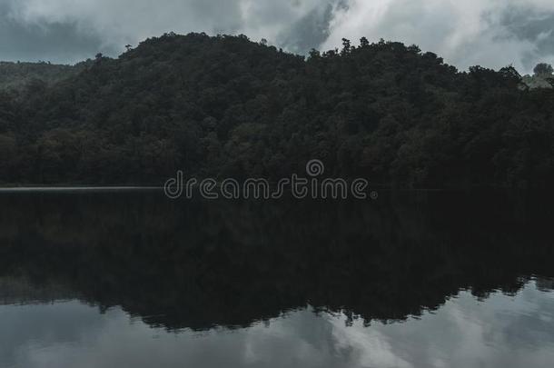 雨森林关于升华产物采用印尼