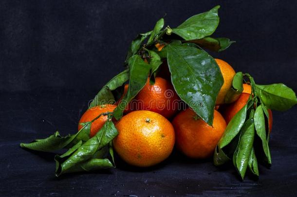 桔子<strong>橘子</strong>成果和绿色的树叶