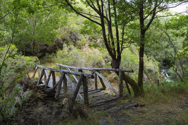 老的木制的桥越过指已提到的人int.上帝！天啊！河