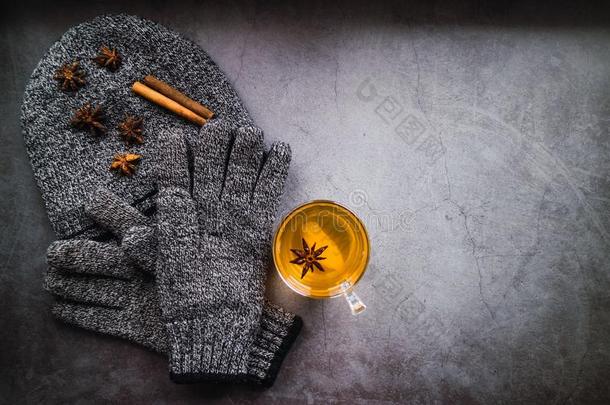 羊毛无檐小便帽和拳击手套为冬季节和自然的药草的茶水