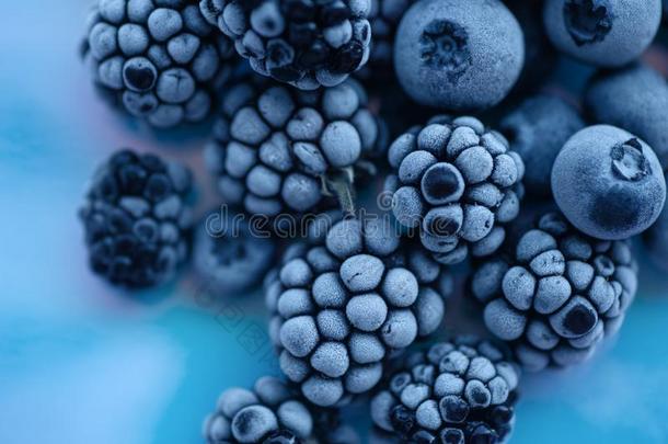 宏指令照片关于冷冻的黑莓和越橘的一种和熔化的
