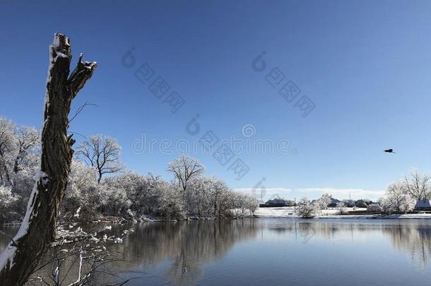 风景优美的看法关于一l一ke向一下雪的早晨