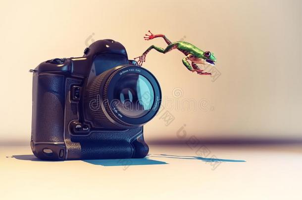 照相机青蛙用于跳跃的