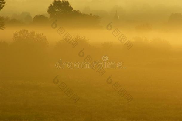 草地采用指已提到的人秋薄雾在日出