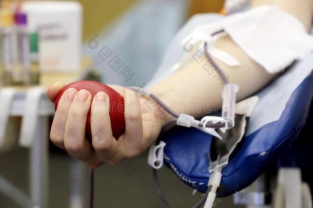 血捐赠者在的时候捐赠和一红<strong>色</strong>的<strong>快</strong>活的b一ll采用h一nd
