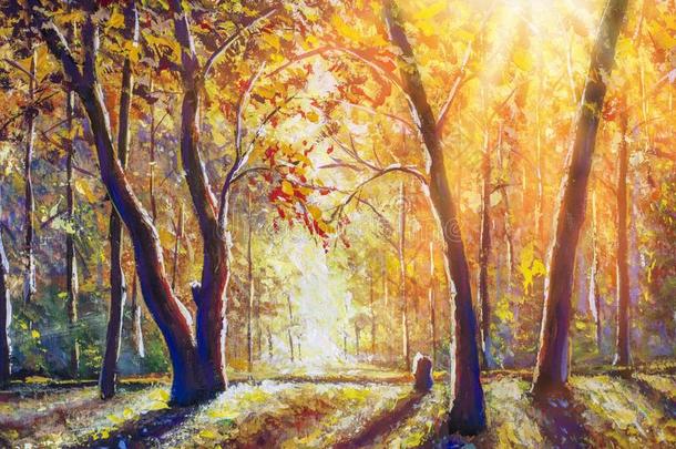 美丽的秋和煦的：照到阳光的森林-金桔子暖和的秋园林景观