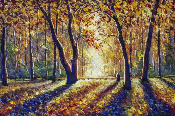 美丽的秋和煦的：照到阳光的森林-<strong>金桔</strong>子暖和的秋园林景观