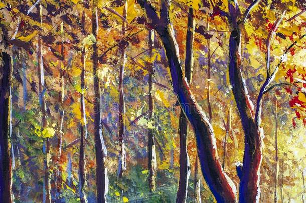 美丽的秋和煦的：照到阳光的森林-<strong>金桔</strong>子暖和的秋园林景观