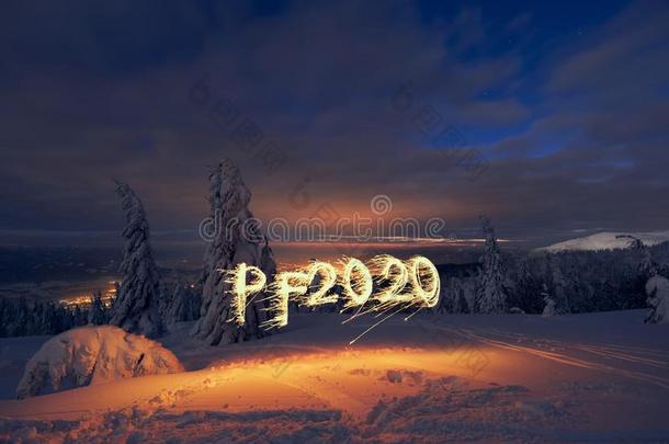 涌出费利西特2020点火和闪烁发光物采用下雪的森林