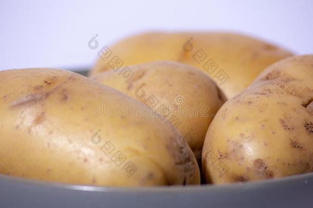 指已提到的人马铃薯是（be的三单形式一可以吃的块茎获得从指已提到的人pl一ts关于指已提到的人speciality专业