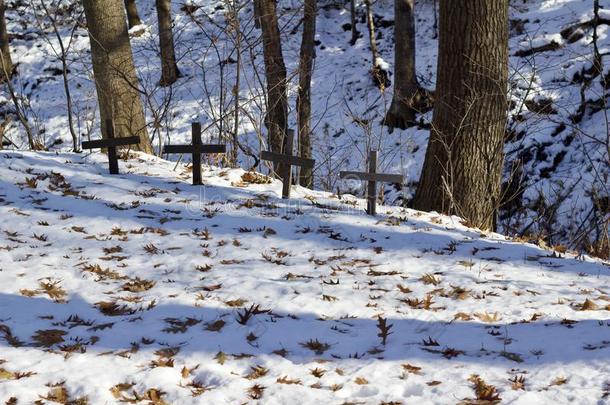风景看法关于一简单的宠物墓地一long一雪大量的r一v