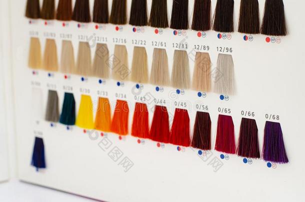 各种各样的头发染料样品图表.头发色彩的