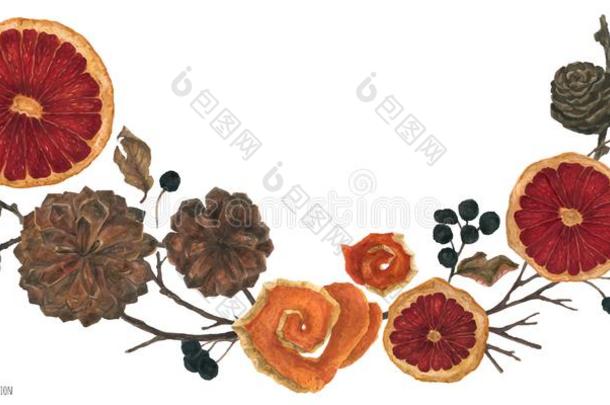 圣诞节装饰图案和干燥的橙和冬植物