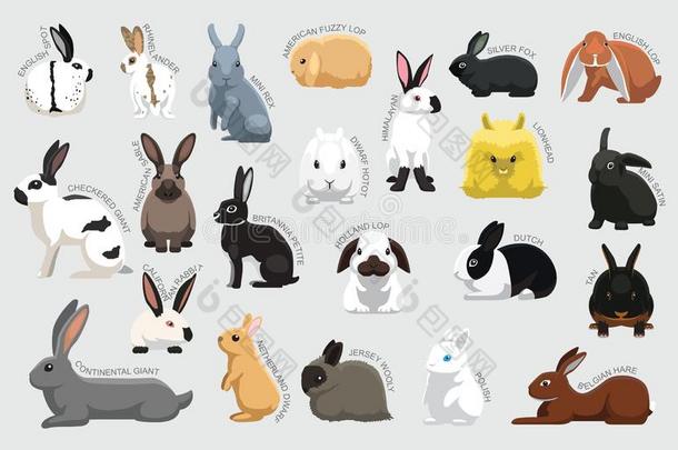 兔子放置各种各样的方式识别漫画矢量