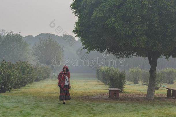 一女人采用传统的纱丽服在绿色的公园