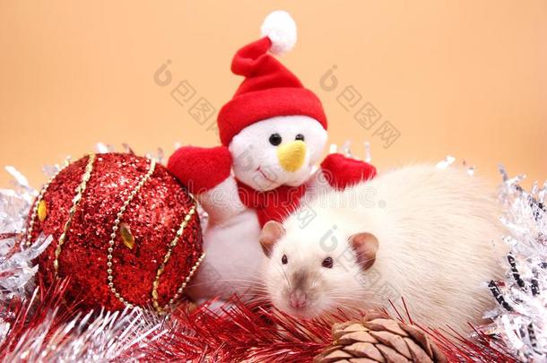 大老鼠在近处玩具雪人和红色的圣诞节玩具.幸福的新的年2020