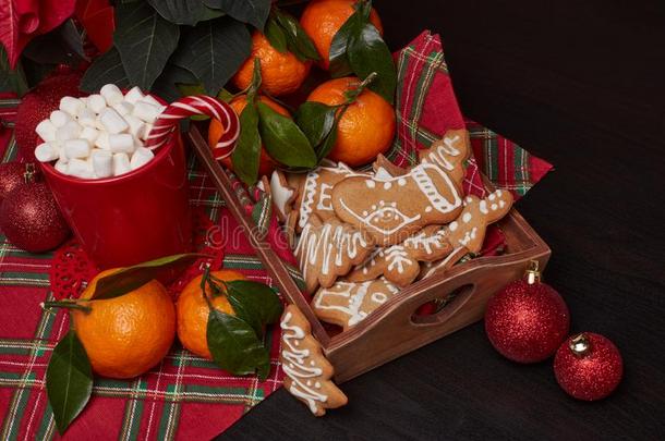 圣诞节和新的年装饰和款待:姜饼,椰子树