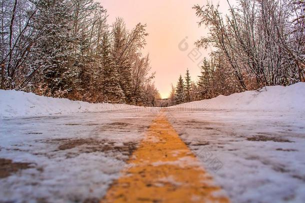 冬天的树衬里一下雪的小路