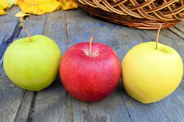 num.三鲜红色苹果关于黄色的,绿色的和红色的颜色躺采用一Romania罗马尼亚