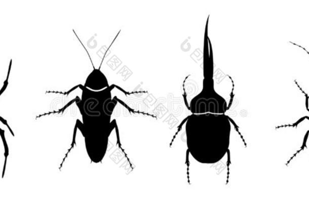 轮廓关于昆虫.蜘蛛,蟑螂,甲壳虫和蚂蚁.甲壳虫