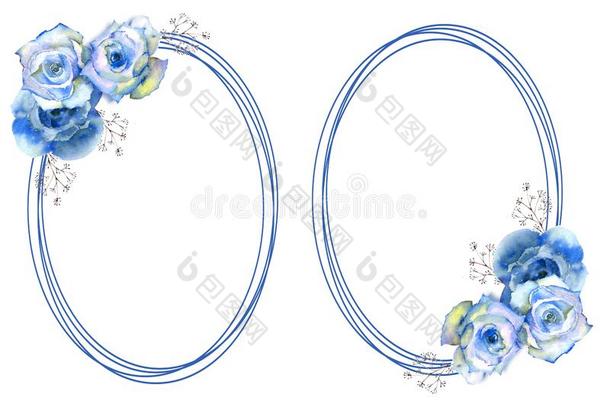 2框架和蓝色玫瑰花向椭圆形的框架向白色的隔离的