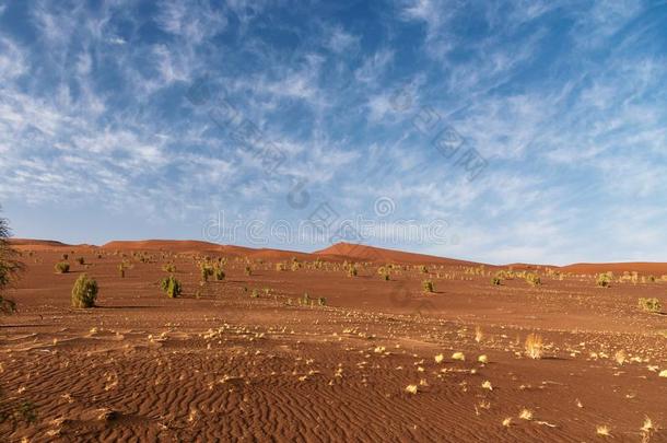 指已提到的人形状关于沙沙丘采用launcherumbilicaltower发射器控制塔沙漠