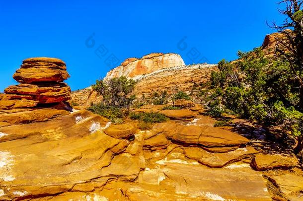 红色的和黄色的S和stone岩石形成一起指已提到的人峡谷使<strong>超载</strong>